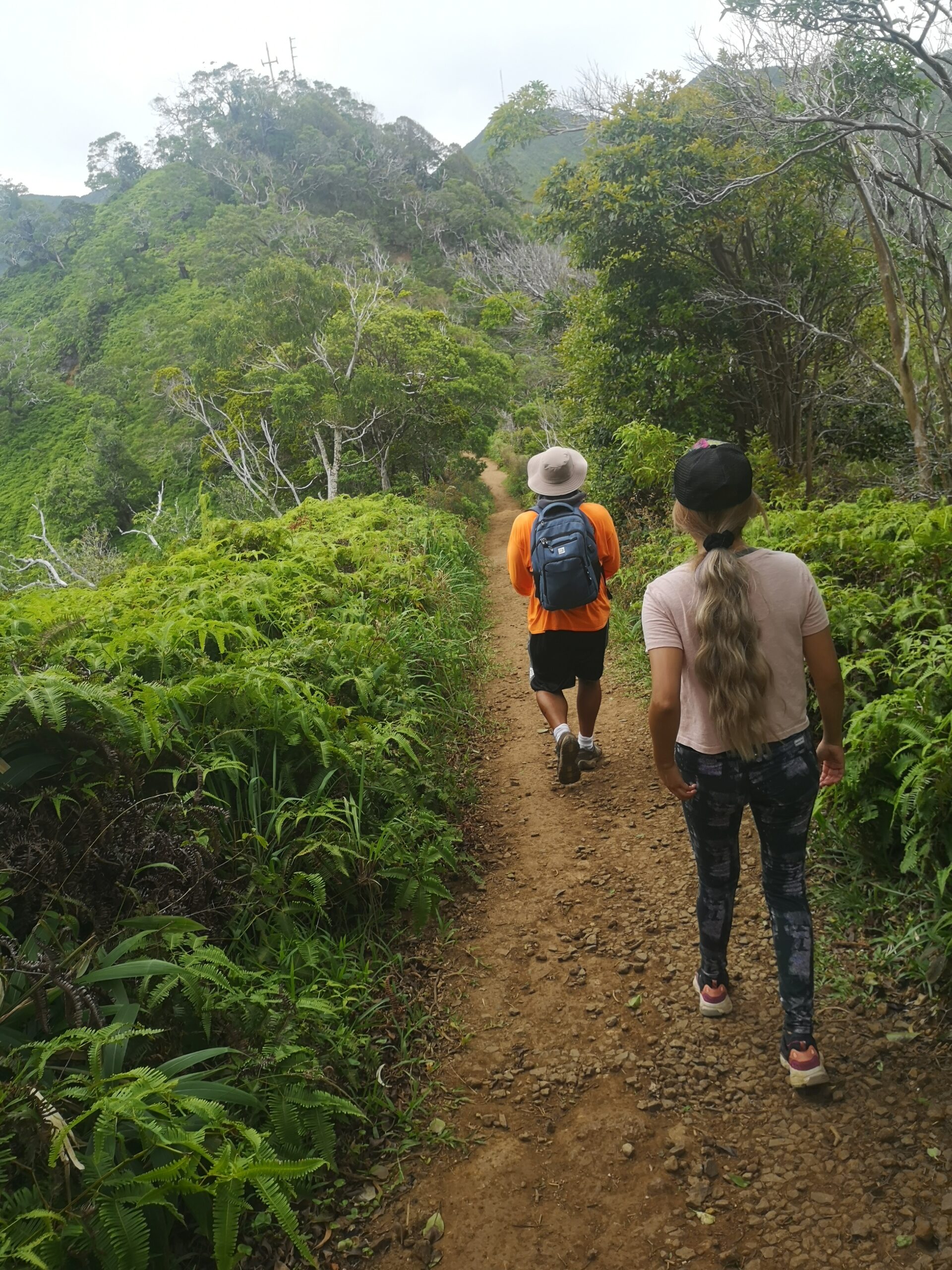 IMG 20200506 125155 Scaled